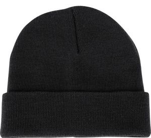 Polar Cuff Beanie