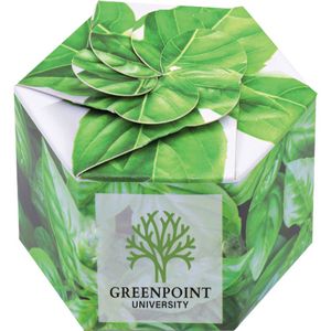 "Pop Up" Starter Kit