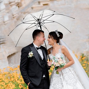 46" Arc Auto Open Clear Umbrella