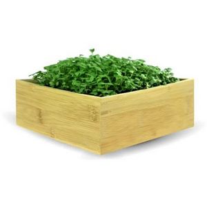 Microgreens Desktop Grow Kit
