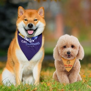 Triangle Pet Bandanna (Machine Washable)